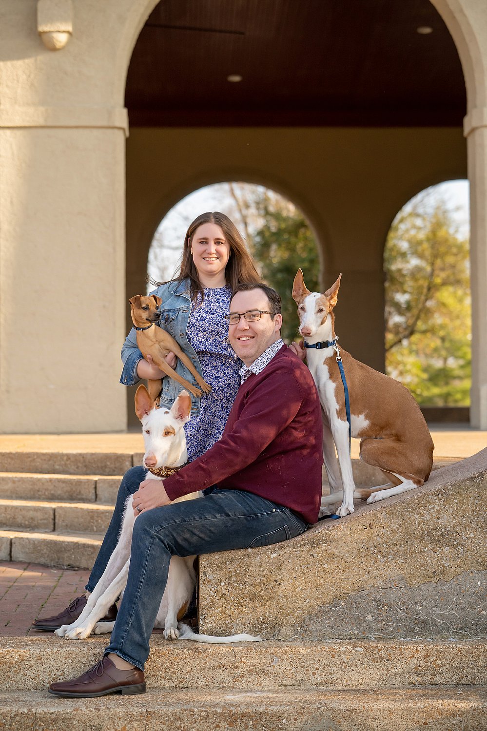Furry Friends Gallery | ST_LOUIS_pet-photography-073.JPG