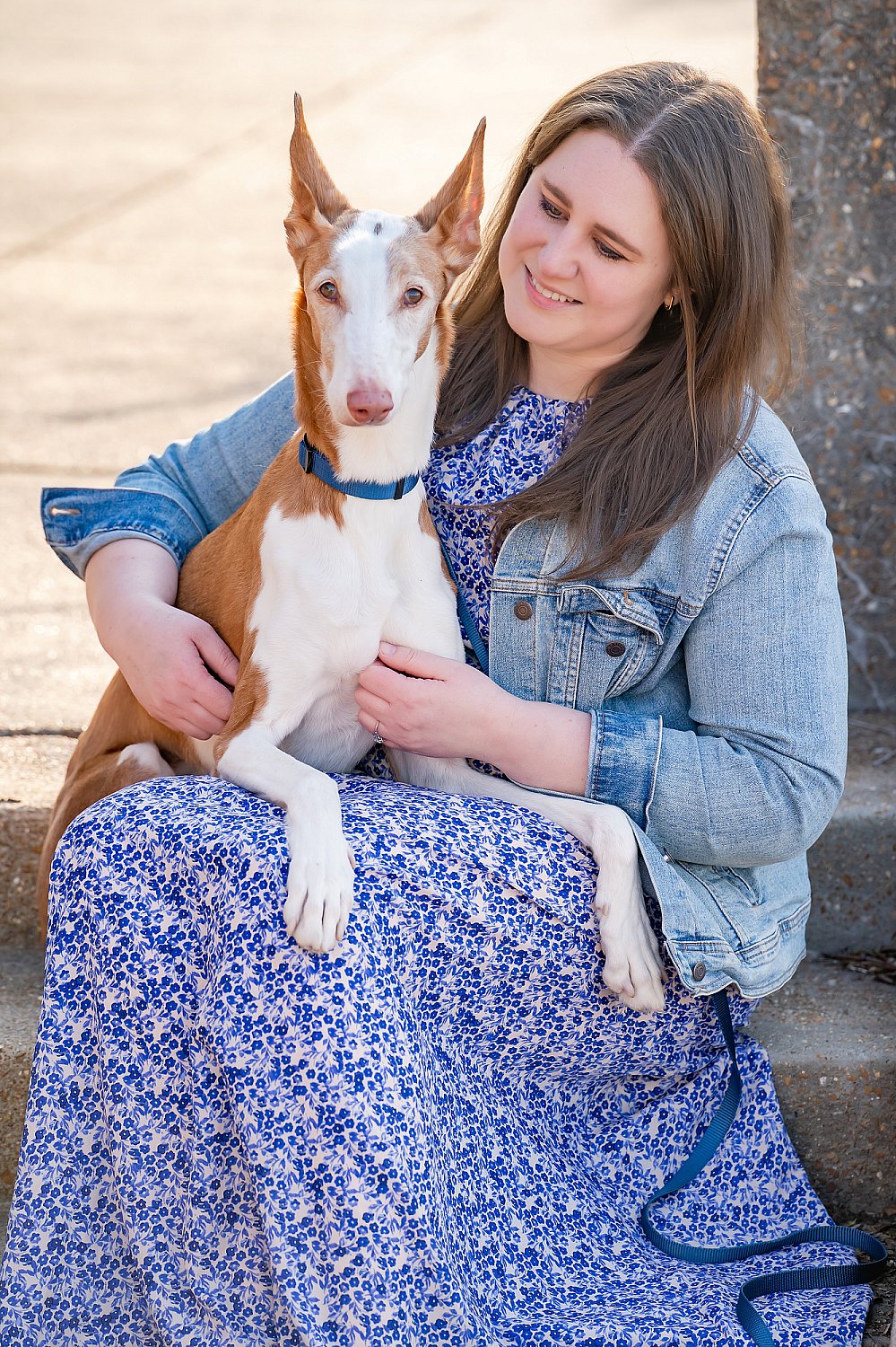 Furry Friends Gallery | ST_LOUIS_pet-photography-072.JPG