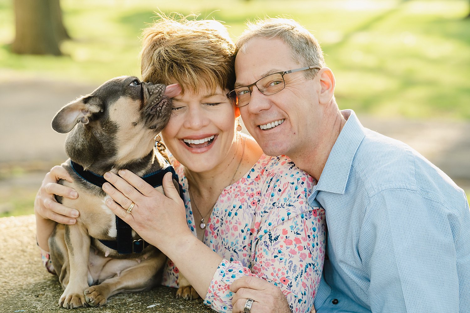Furry Friends Gallery | ST_LOUIS_pet-photography-067.JPG