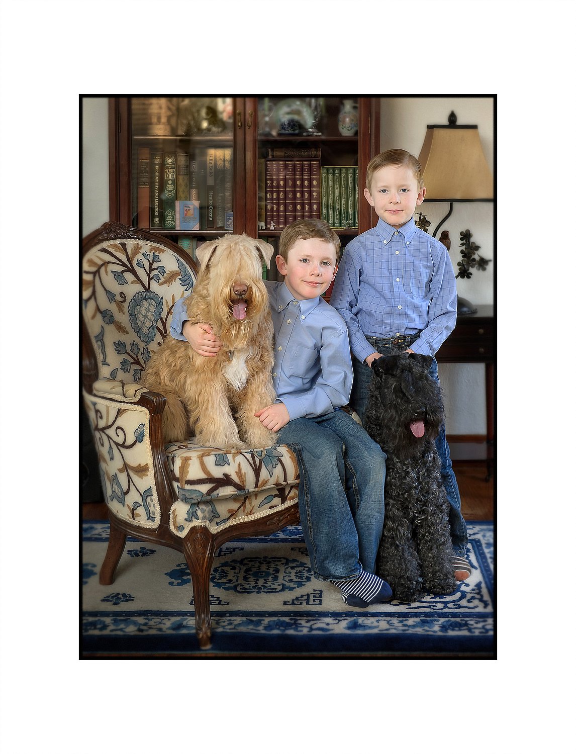 Furry Friends Gallery | ST_LOUIS_pet-photography-071.JPG