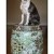 Furry Friends Gallery | ST_LOUIS_pet-photography-063.JPG